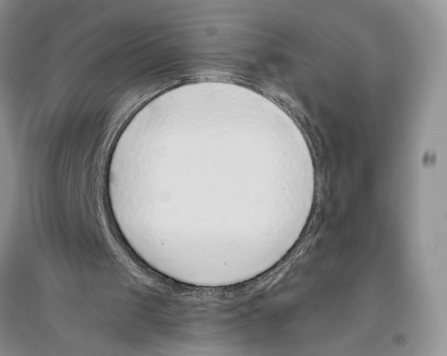 X0000096430049200802211156