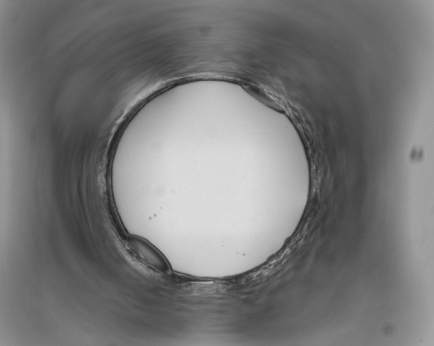 X0000096430050200802211156