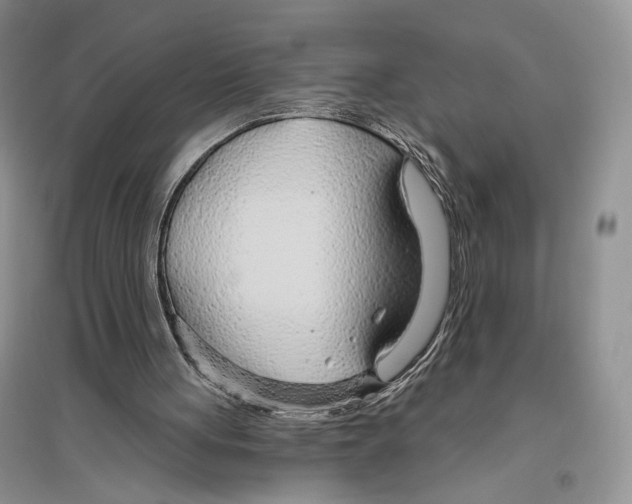 X0000096430051200802211156