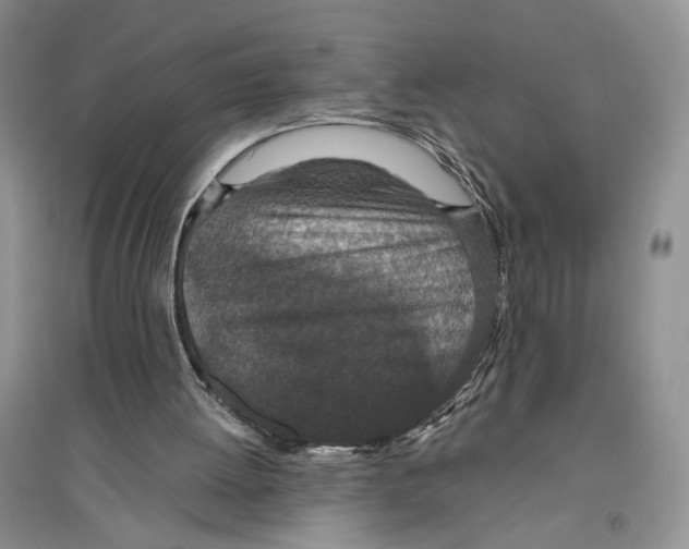 X0000096430052200802211156