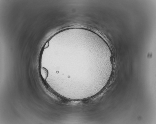 X0000096430055200802211156