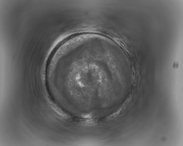 X0000096430056200802211156