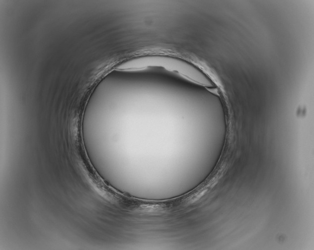 X0000096430057200802211156