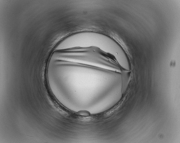 X0000096430058200802211156