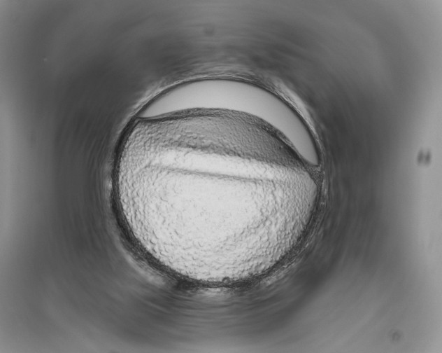 X0000096430059200802211156
