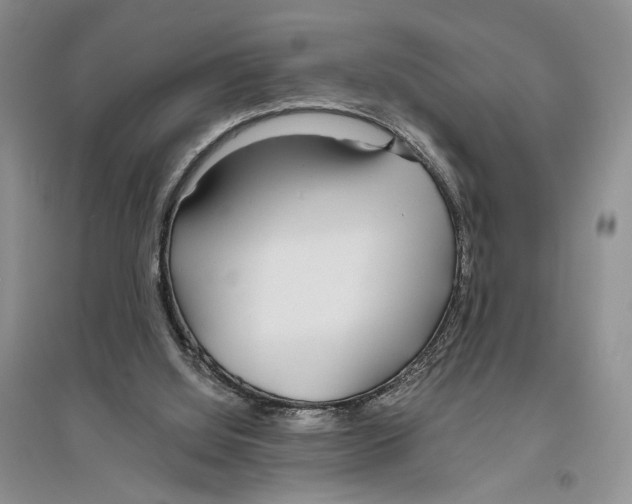 X0000096430060200802211156