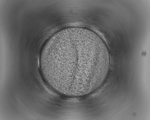 X0000096430061200802211156