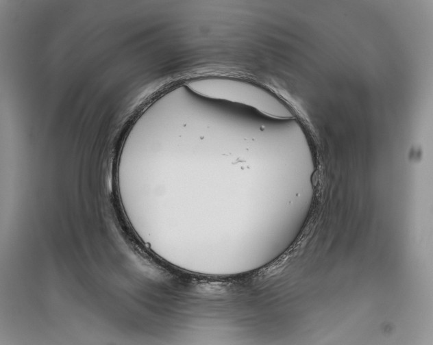 X0000096430062200802211156