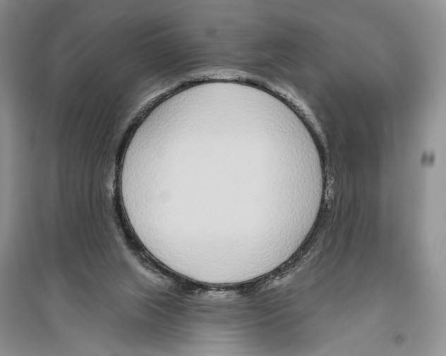 X0000096430063200802211156