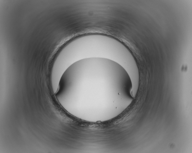 X0000096430064200802211156