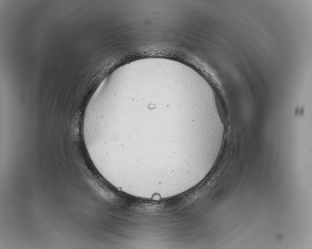 X0000096430065200802211156