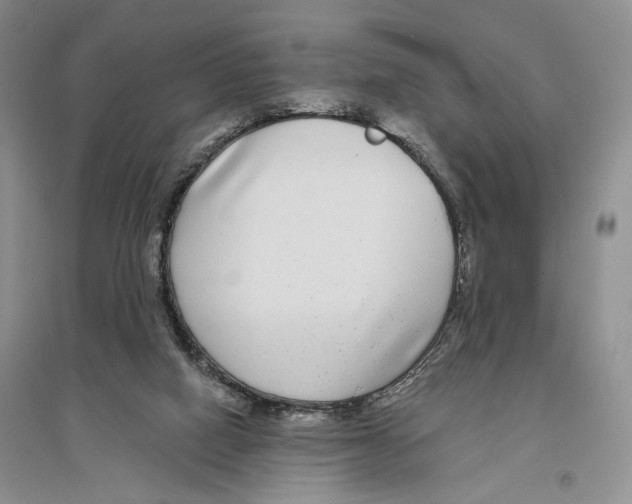 X0000096430066200802211157