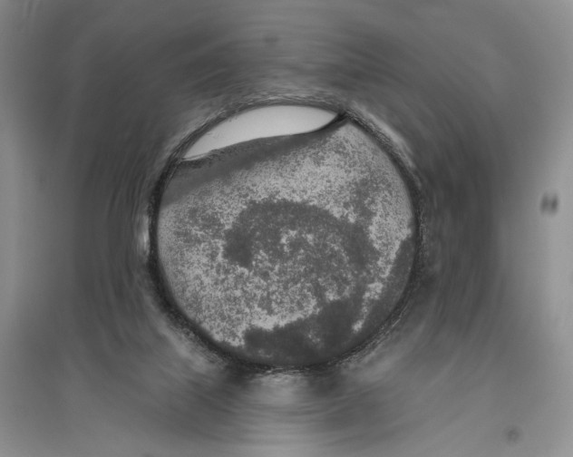 X0000096430067200802211157