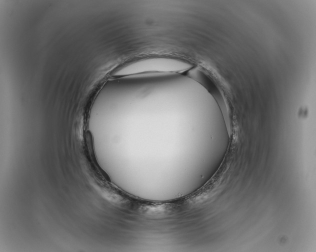 X0000096430068200802211157