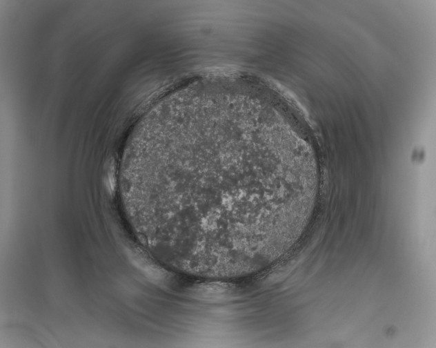 X0000096430069200802211157