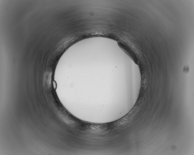 X0000096430070200802211157