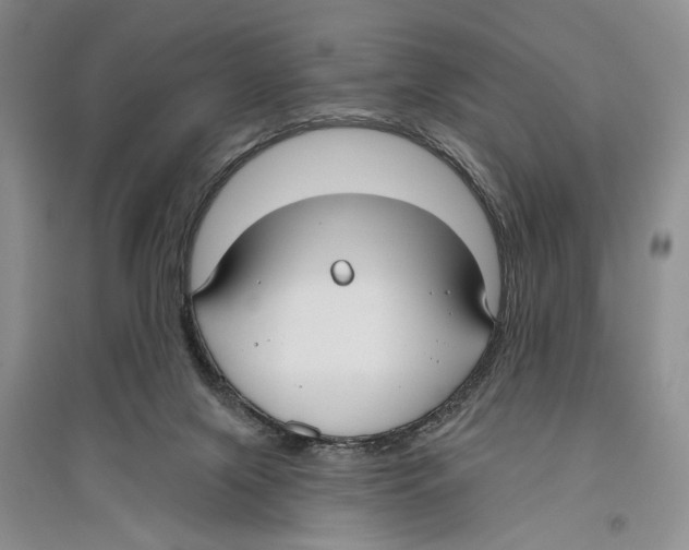 X0000096430071200802211157