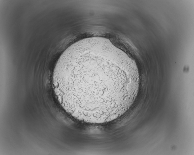 X0000096430073200802211157