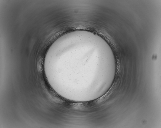 X0000096430074200802211157