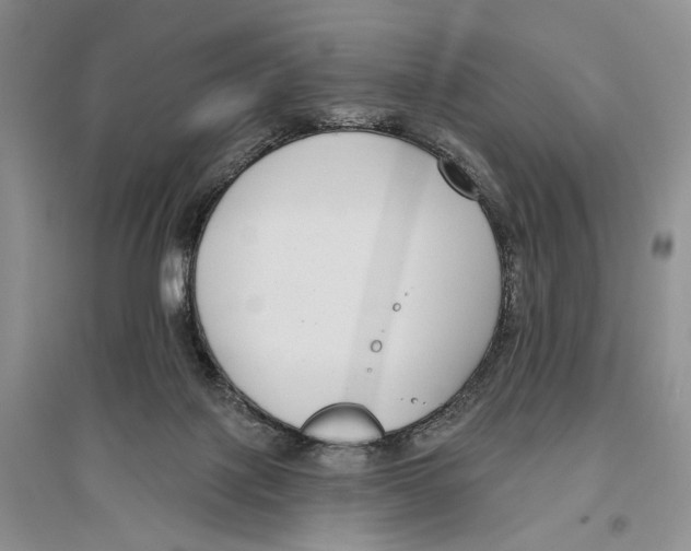 X0000096430075200802211157