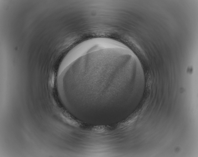 X0000096430076200802211157