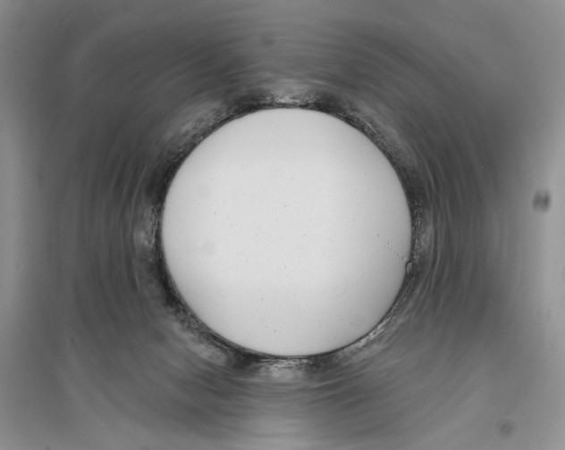 X0000096430078200802211157