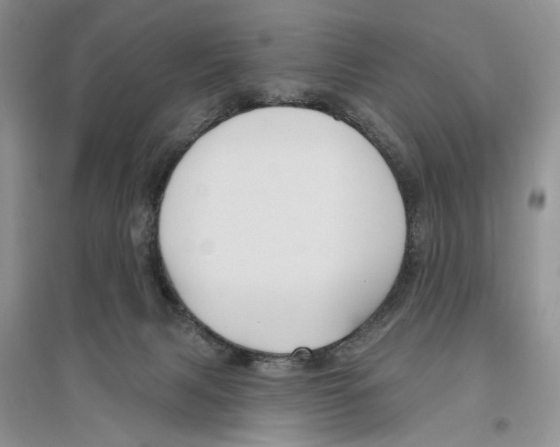 X0000096430079200802211157