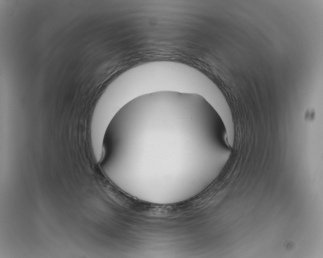 X0000096430080200802211157