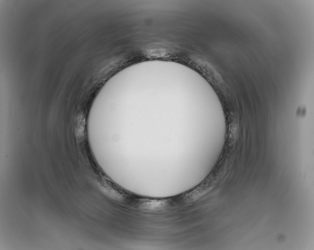 X0000096430081200802211157