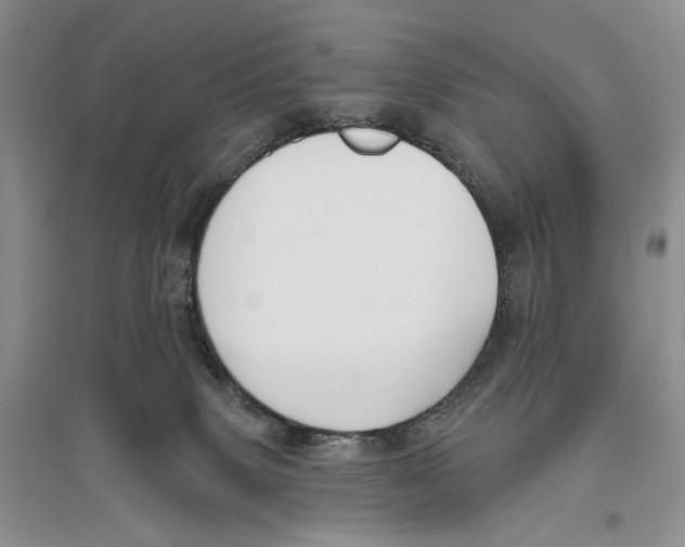 X0000096430083200802211157
