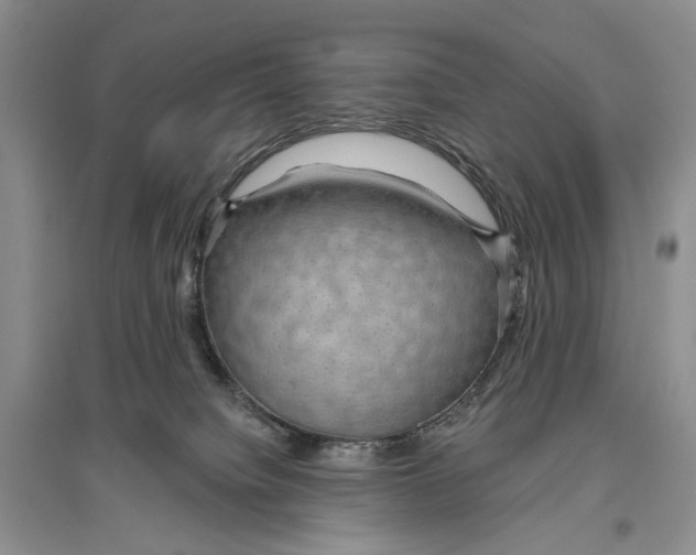 X0000096430084200802211157