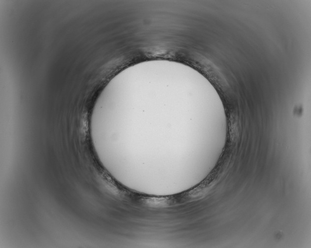 X0000096430085200802211157
