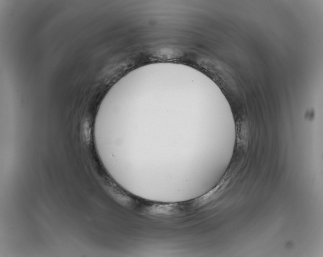 X0000096430086200802211157