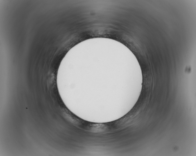 X0000096430087200802211157