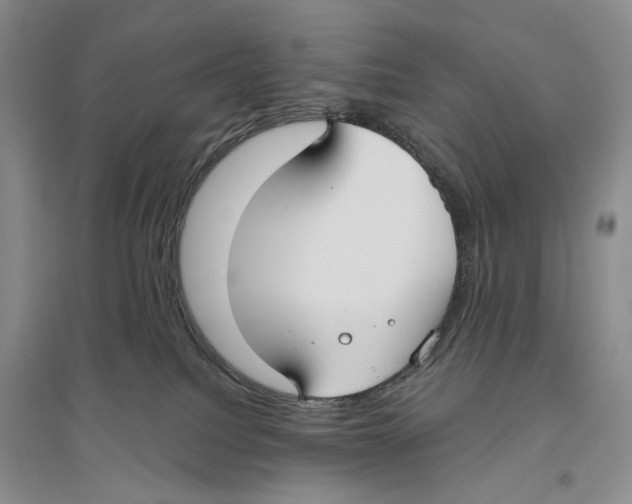 X0000096430088200802211157