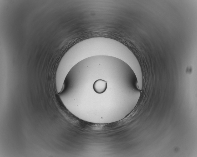 X0000096430090200802211157