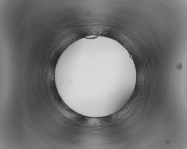 X0000096430091200802211157