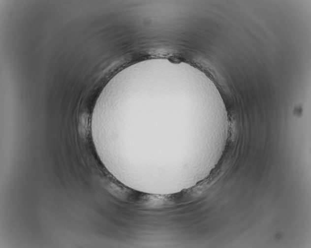 X0000096430093200802211157