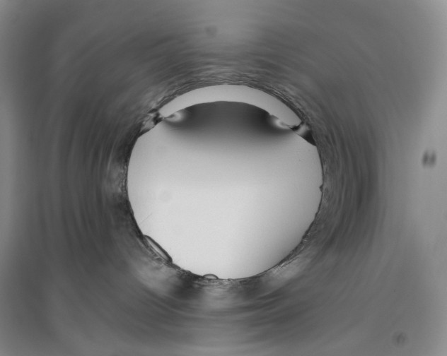 X0000096430096200802211157
