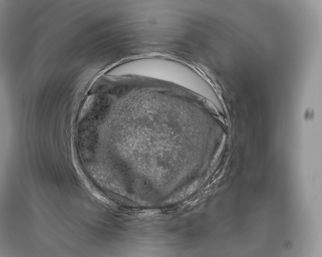X0000096430097200802211156