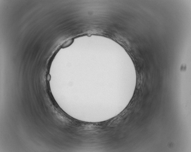 X0000096430098200802211156