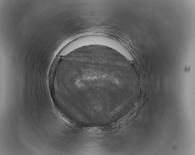 X0000096430100200802211156