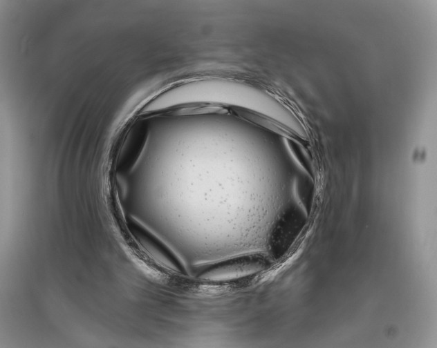 X0000096430101200802211156