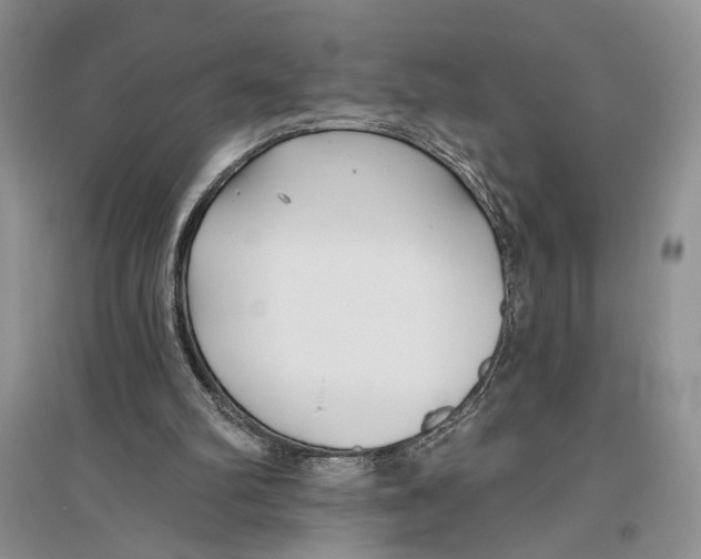 X0000096430102200802211156