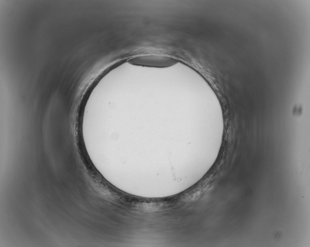 X0000096430103200802211156
