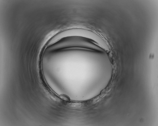 X0000096430104200802211156