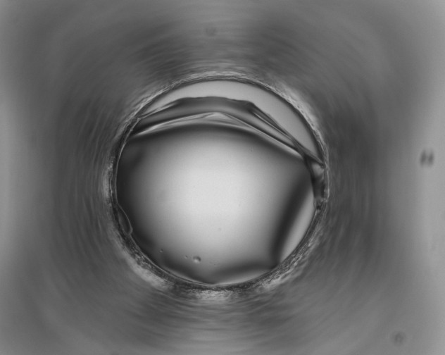 X0000096430105200802211156