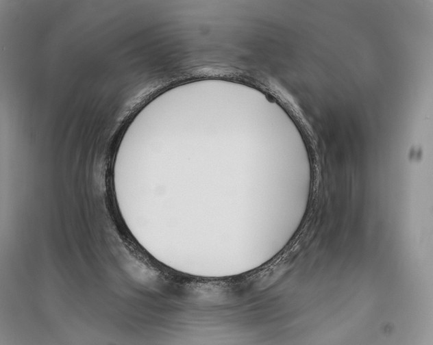 X0000096430106200802211156