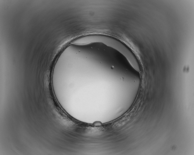 X0000096430107200802211156