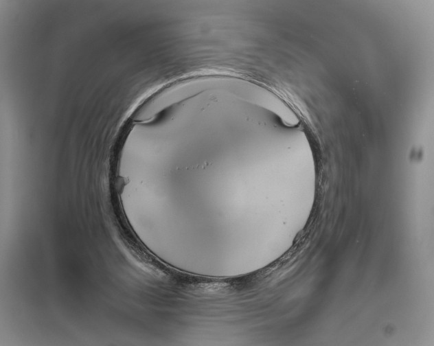 X0000096430108200802211156